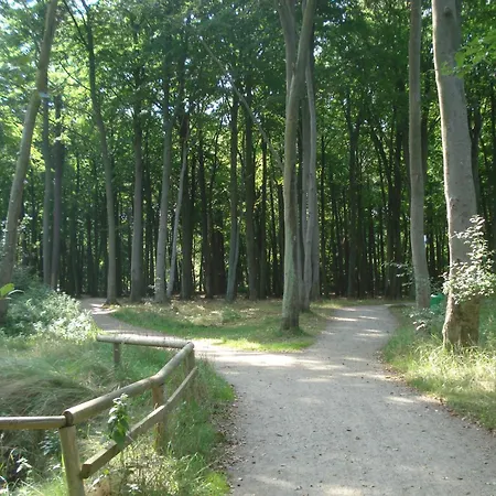 Privatunterkunft Küstenwald - Ferienzimmer Kleiner Eikkater 8 *