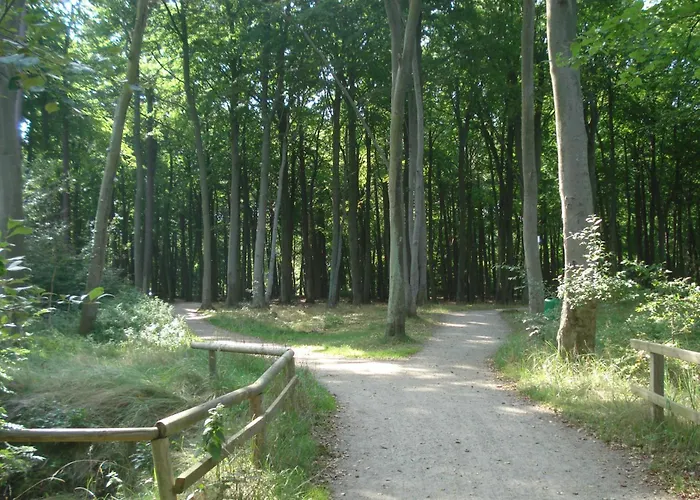 民宿 Kuestenwald - Ferienzimmer Kleiner Eikkater 8 *